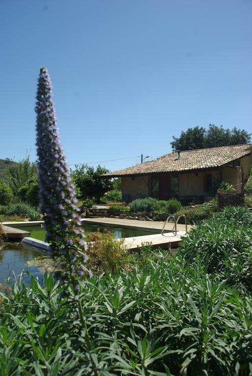 Quinta Do Arade - Casa 4 Petalas Barranco do Resgalho Exteriör bild